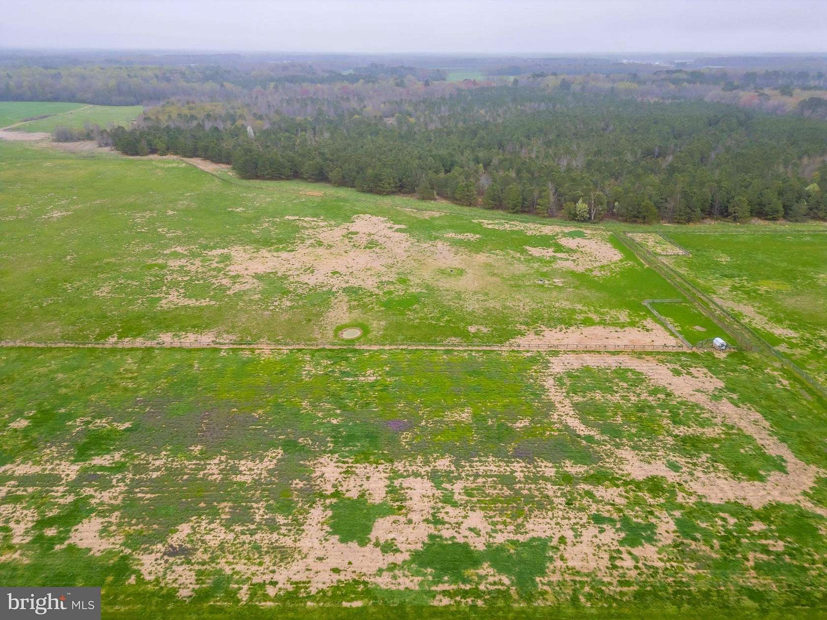 130 Acres of Land for Sale in Federalsburg, Maryland