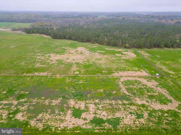 130 Acres of Land for Sale in Federalsburg, Maryland