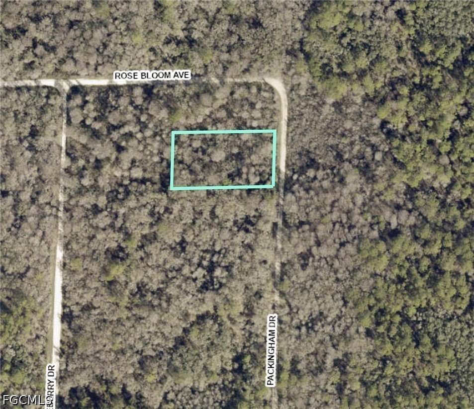 1.17 Acres of Land for Sale in Webster, Florida