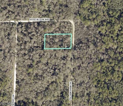 1.17 Acres of Land for Sale in Webster, Florida