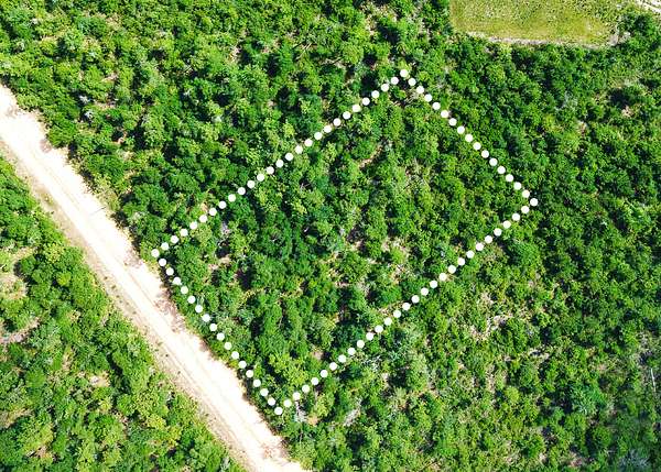 1.15 Acres of Residential Land for Sale in Alford, Florida