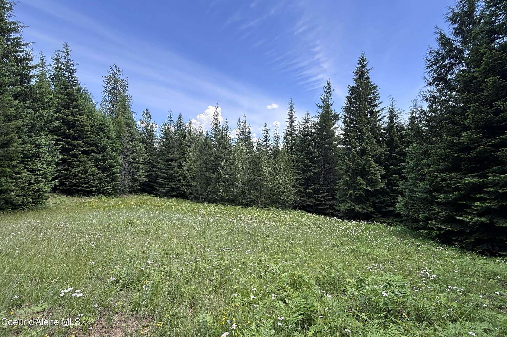 5 Acres of Residential Land for Sale in Naples, Idaho