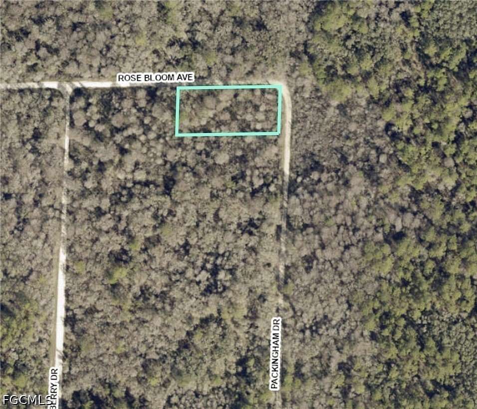 0.99 Acres of Residential Land for Sale in Webster, Florida