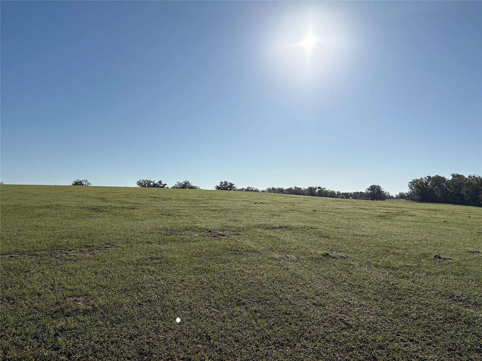104 Acres of Agricultural & Residential Land for Sale in Brooksville, Florida