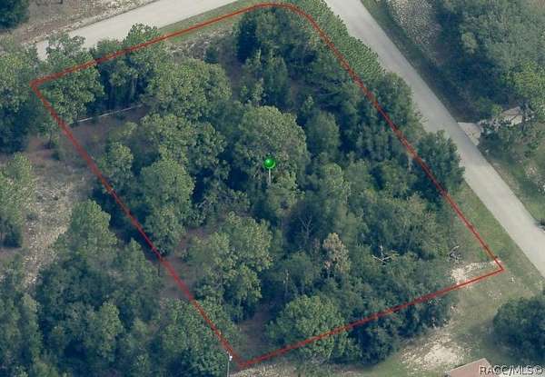 0.99 Acres of Residential Land for Sale in Beverly Hills, Florida