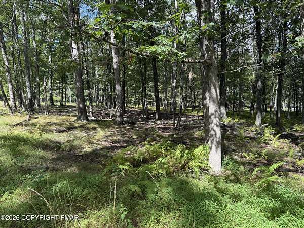 0.6 Acres of Residential Land for Sale in Albrightsville, Pennsylvania