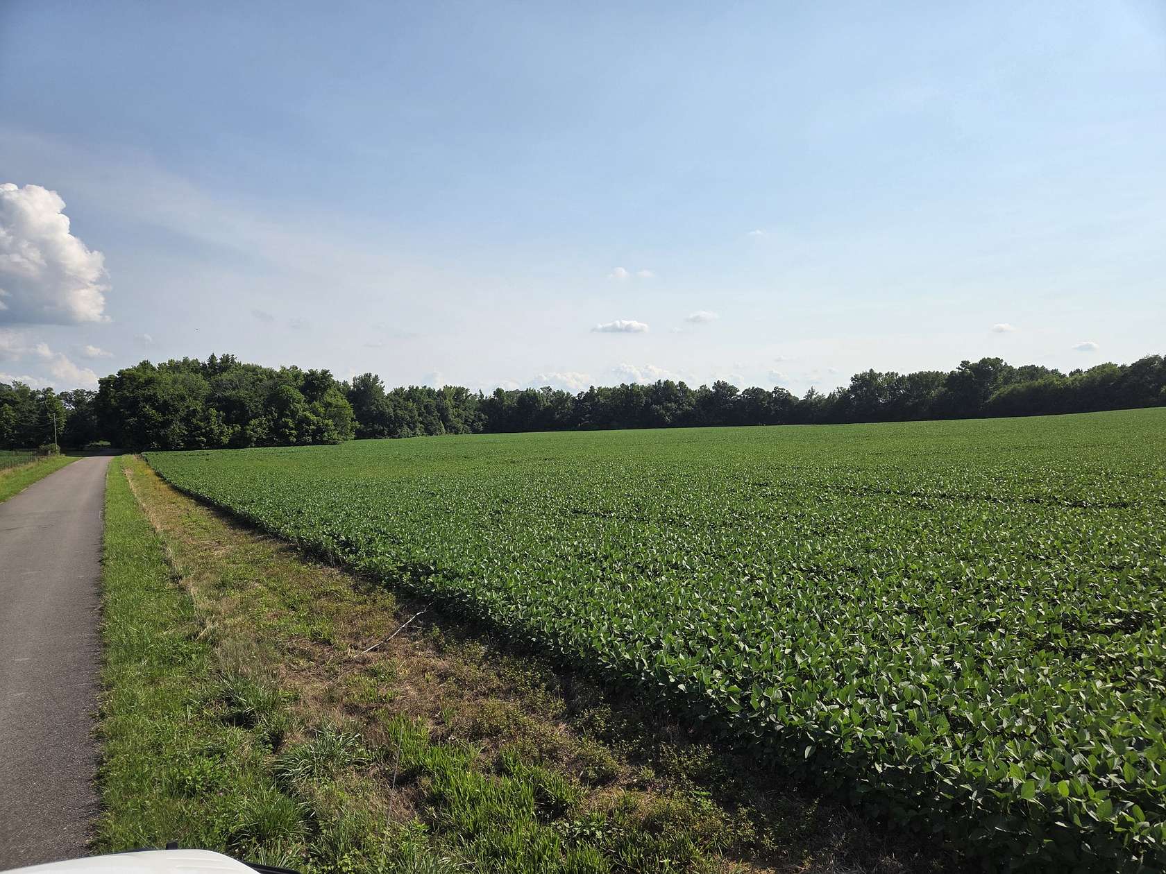 53.8 Acres of Agricultural Land for Sale in Taft, Tennessee
