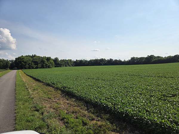 53.8 Acres of Agricultural Land for Sale in Taft, Tennessee
