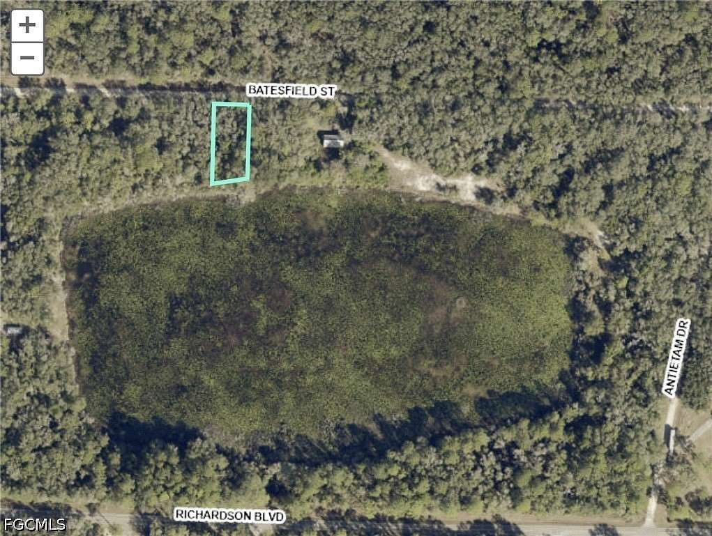 0.31 Acres of Land for Sale in Webster, Florida