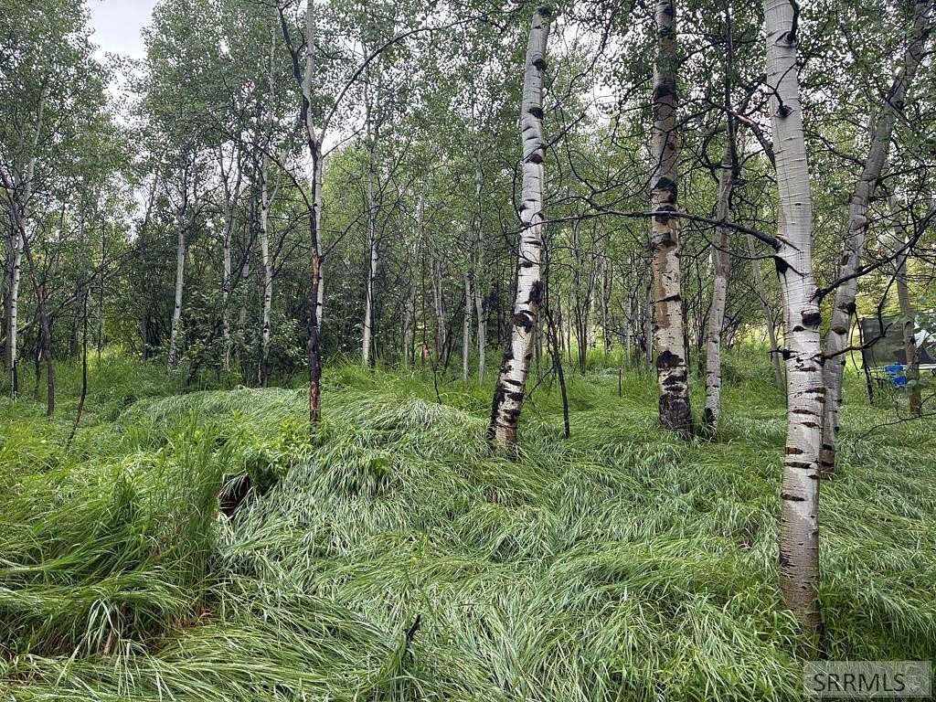 0.4 Acres of Residential Land for Sale in Island Park, Idaho