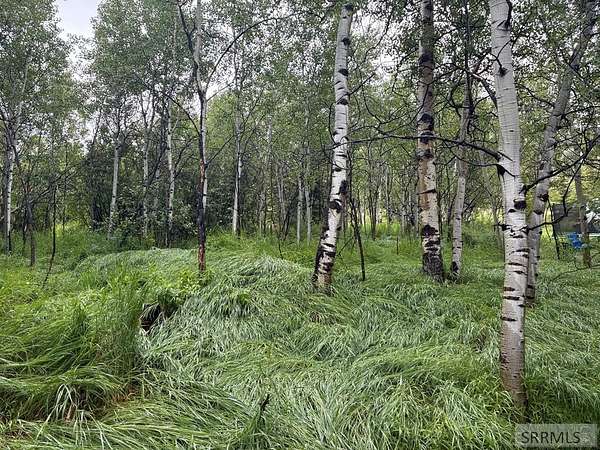 0.4 Acres of Residential Land for Sale in Island Park, Idaho