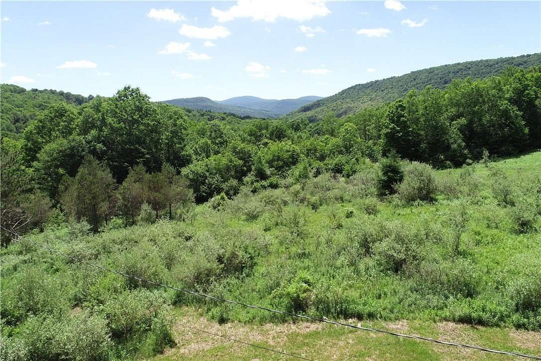 19.8 Acres of Improved Recreational Land for Sale in Andes, New