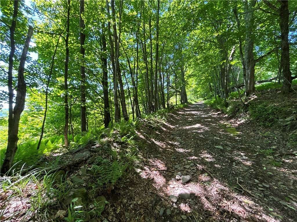 19.8 Acres of Improved Recreational Land for Sale in Andes, New