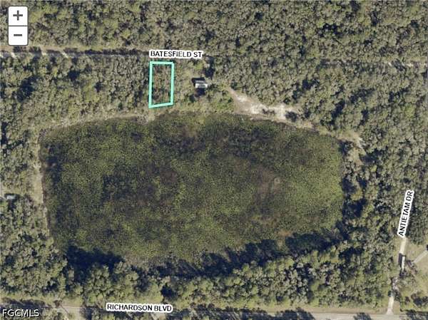 0.29 Acres of Land for Sale in Webster, Florida