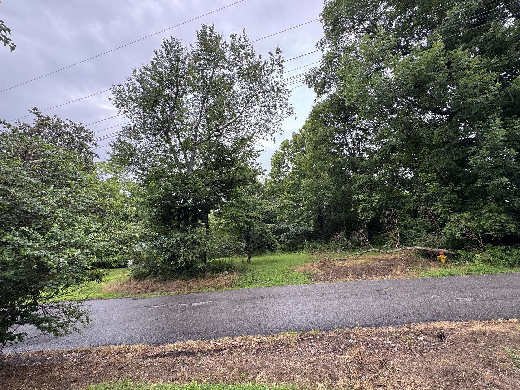 0.34 Acres of Residential Land for Sale in Erin, Tennessee