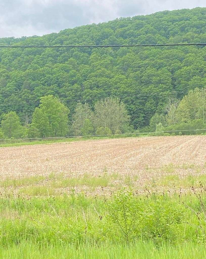 70 Acres of Agricultural Land for Sale in Lockwood, New York