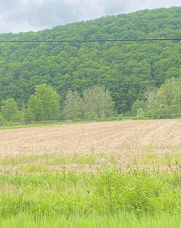 70 Acres of Agricultural Land for Sale in Lockwood, New York