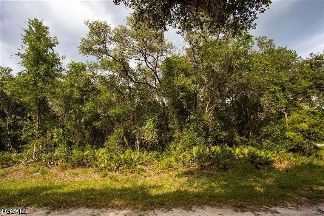 0.55 Acres of Land for Sale in Webster, Florida
