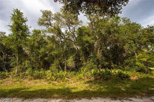 0.55 Acres of Land for Sale in Webster, Florida