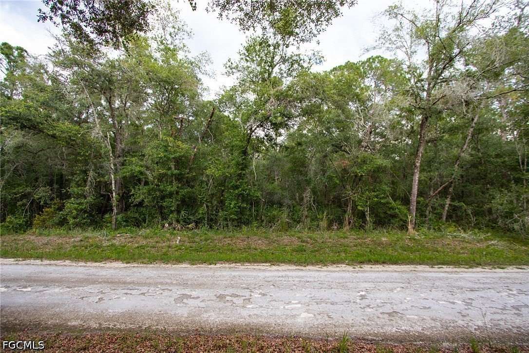 0.41 Acres of Land for Sale in Webster, Florida