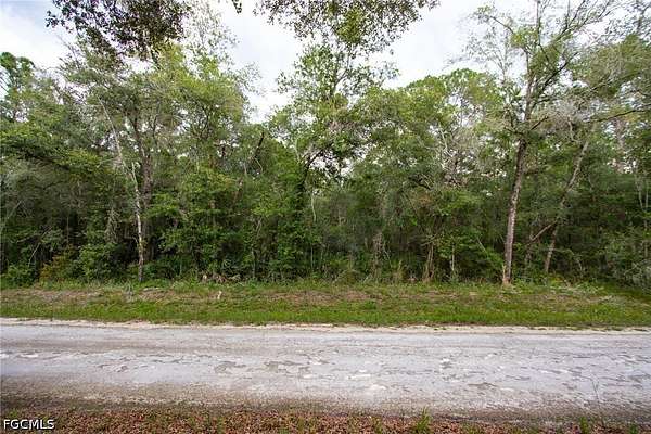 0.41 Acres of Land for Sale in Webster, Florida