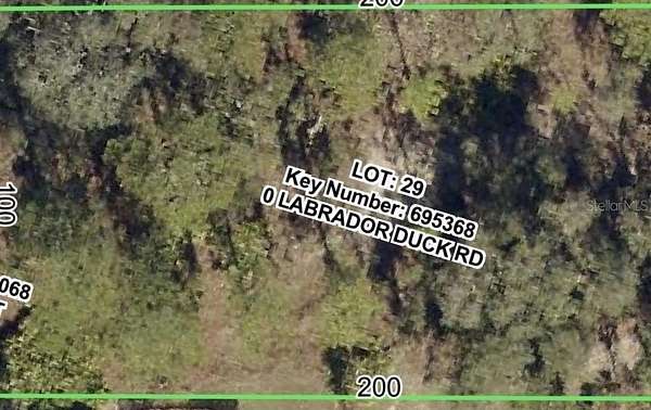 0.46 Acres of Residential Land for Sale in Weeki Wachee, Florida