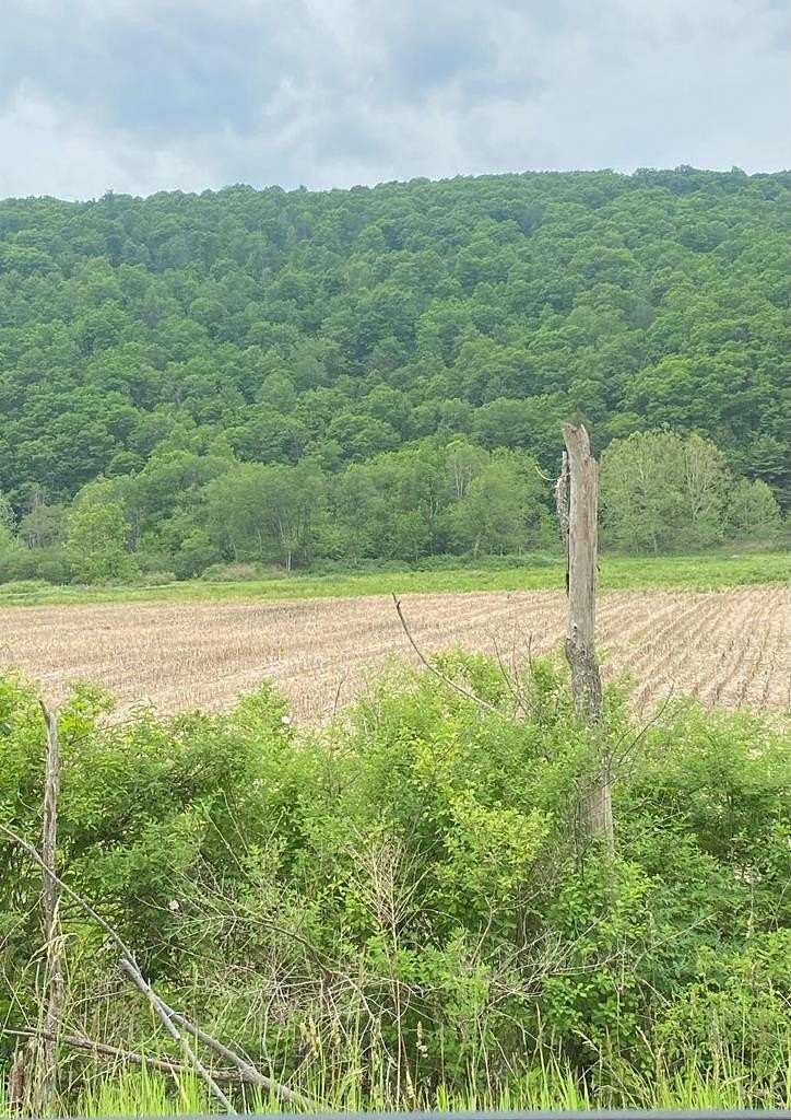 43.8 Acres of Agricultural Land for Sale in Lockwood, New York