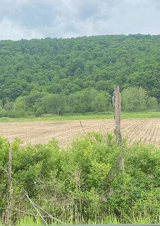 43.8 Acres of Agricultural Land for Sale in Lockwood, New York