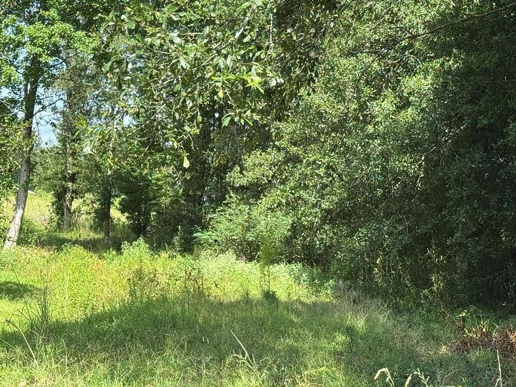 22 Acres of Land for Sale in Livingston, Texas