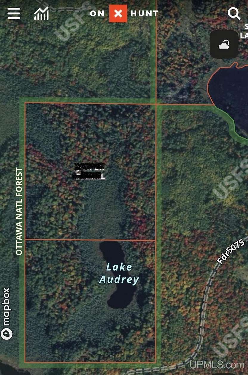 40 Acres of Recreational Land for Sale in Watersmeet, Michigan