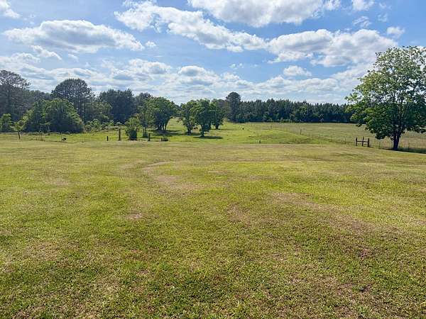 6 Acres of Land with Home for Sale in Georgiana, Alabama