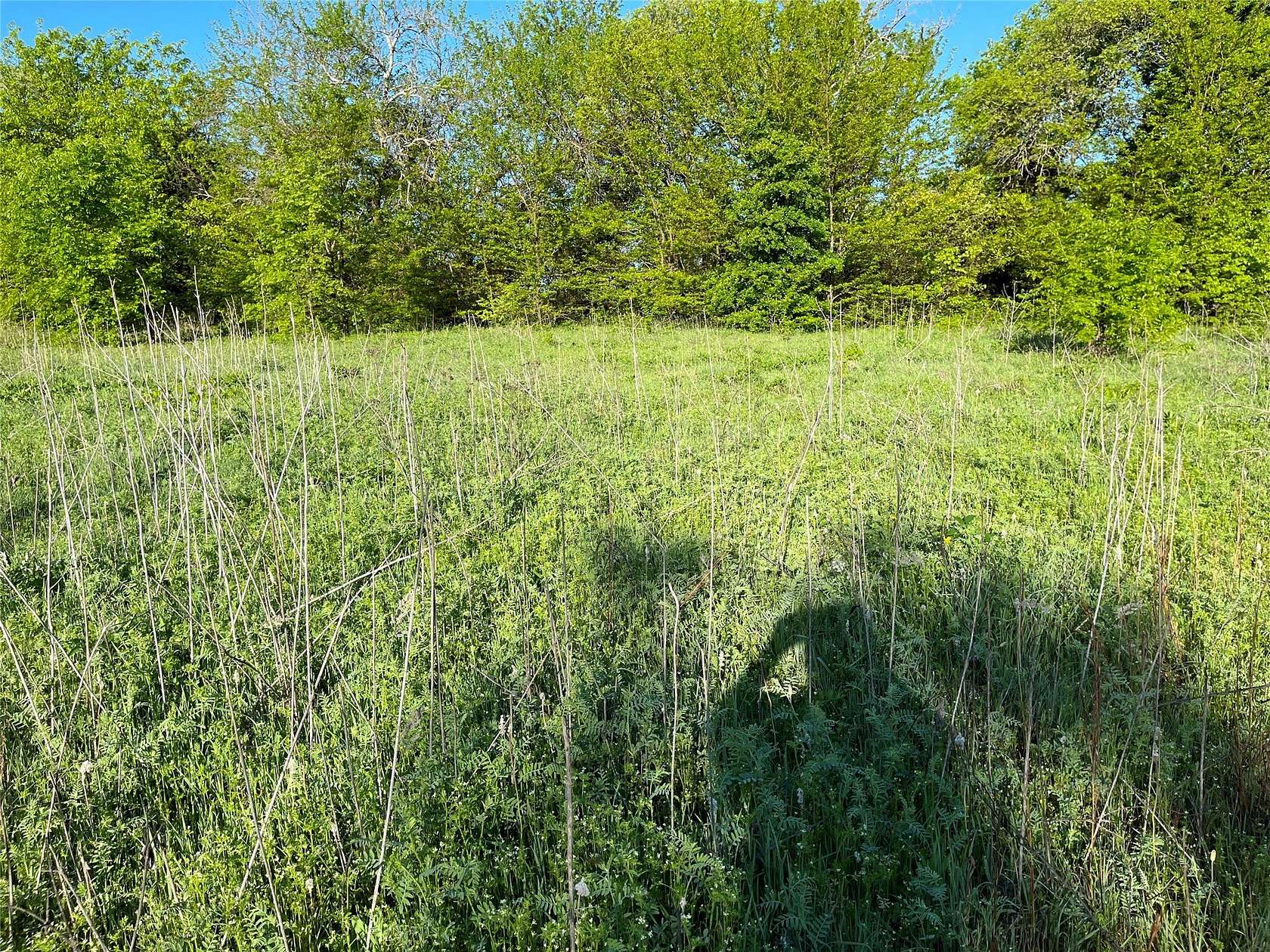 11 Acres of Land for Sale in Gunter, Texas