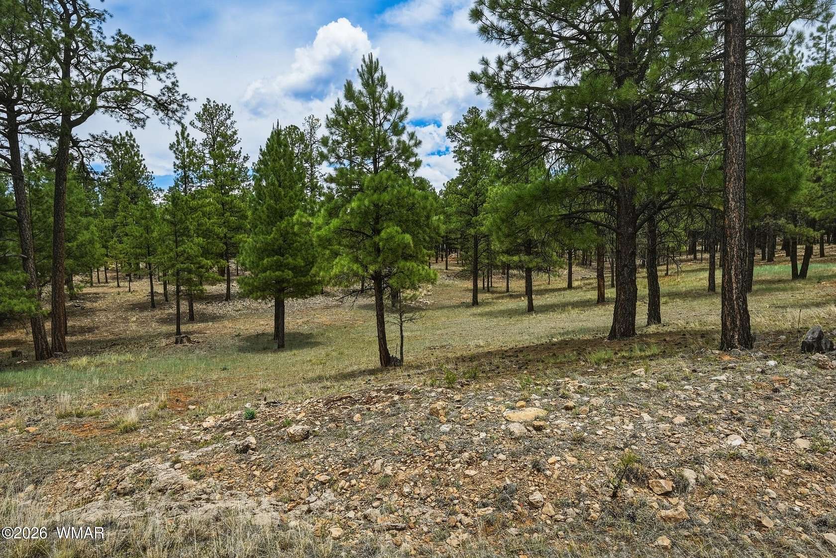 1 Acre of Residential Land for Sale in Happy Jack, Arizona