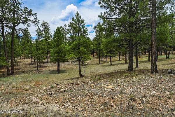 1 Acre of Residential Land for Sale in Happy Jack, Arizona