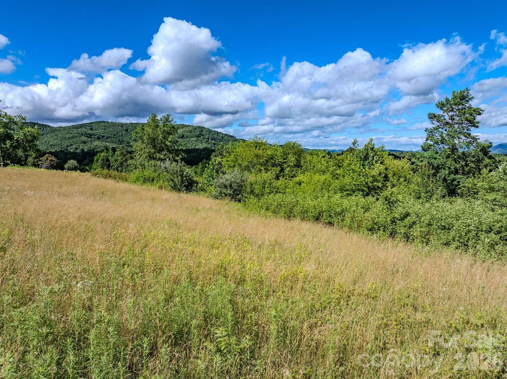 8.15 Acres of Residential Land for Sale in Hendersonville, North Carolina