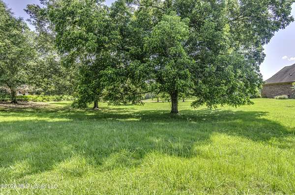 1 Acre of Residential Land for Sale in Madison, Mississippi