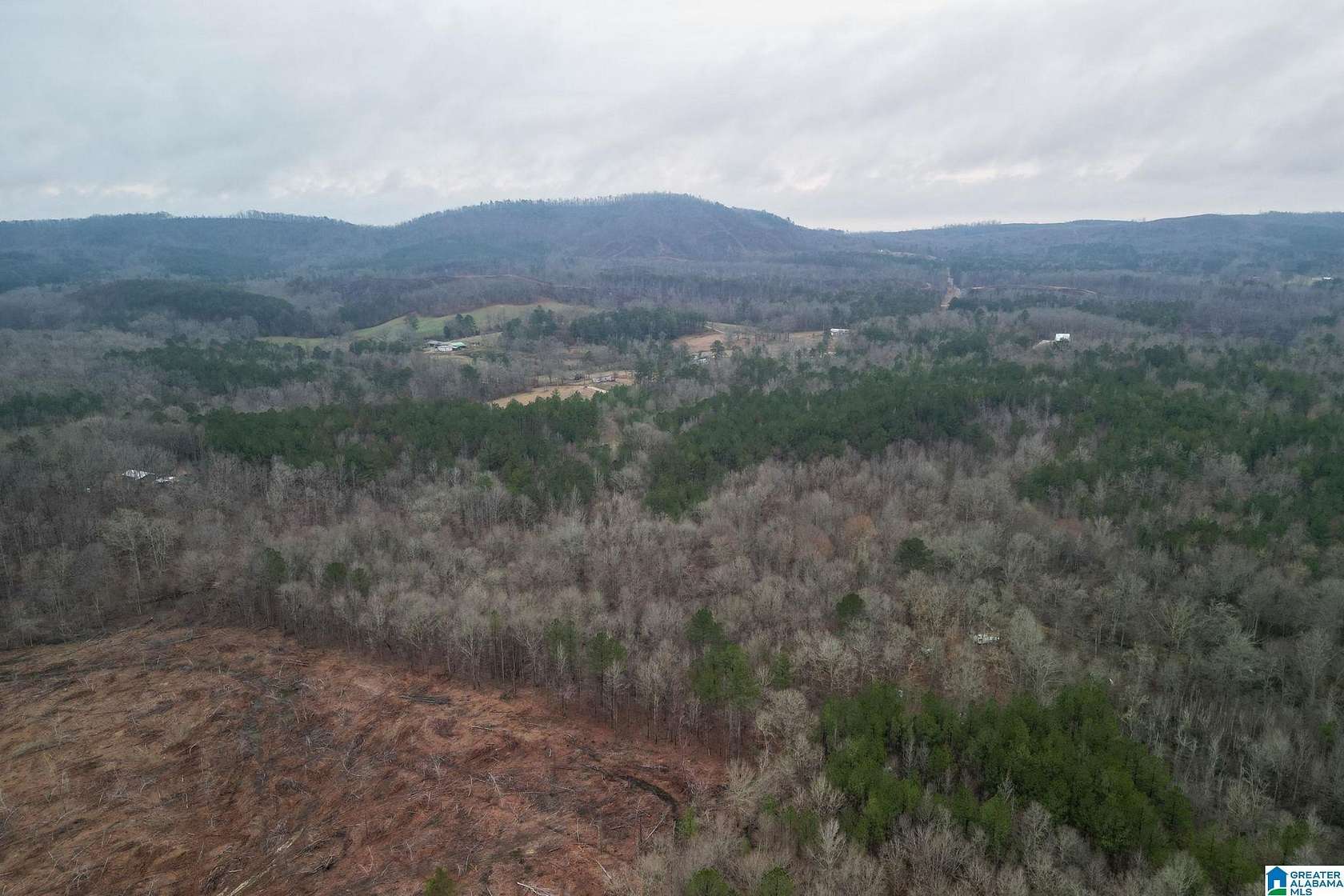 9.35 Acres of Land for Sale in Lineville, Alabama