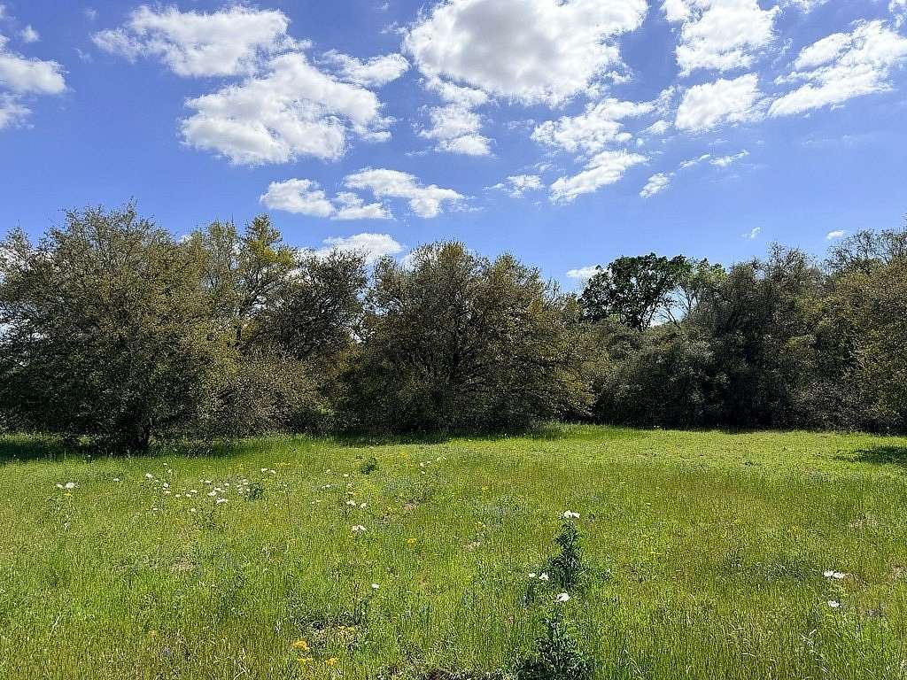33.9 Acres of Recreational & Residential Land for Sale in Garwood, Texas