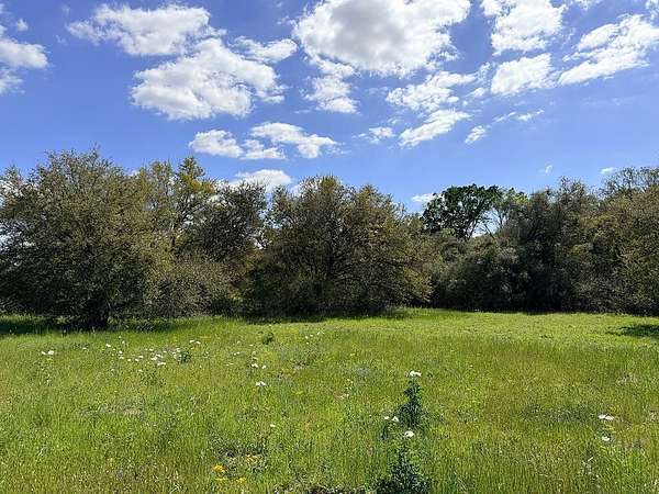 33.9 Acres of Recreational & Residential Land for Sale in Garwood, Texas
