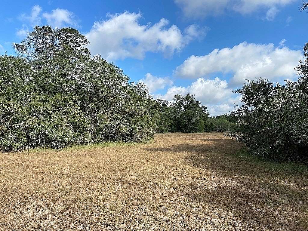 11 Acres of Recreational & Residential Land for Sale in Garwood, Texas