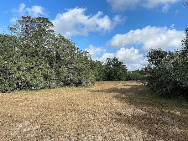 11 Acres of Recreational & Residential Land for Sale in Garwood, Texas