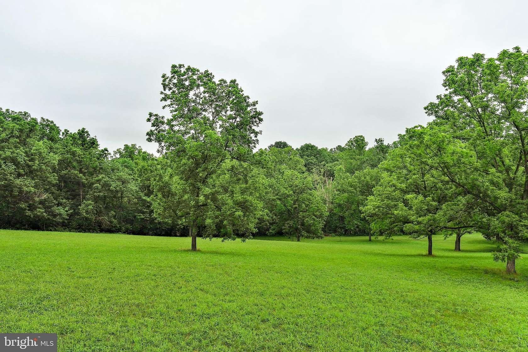 6.75 Acres of Residential Land for Sale in Edinburg, Virginia