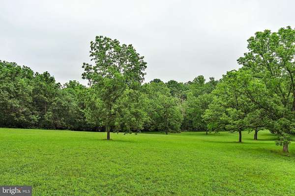 6.75 Acres of Residential Land for Sale in Edinburg, Virginia