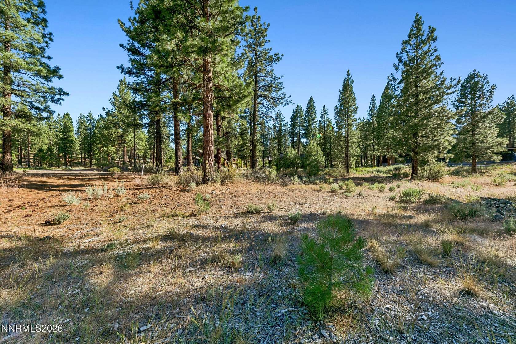 0.73 Acres of Residential Land for Sale in Carson City, Nevada