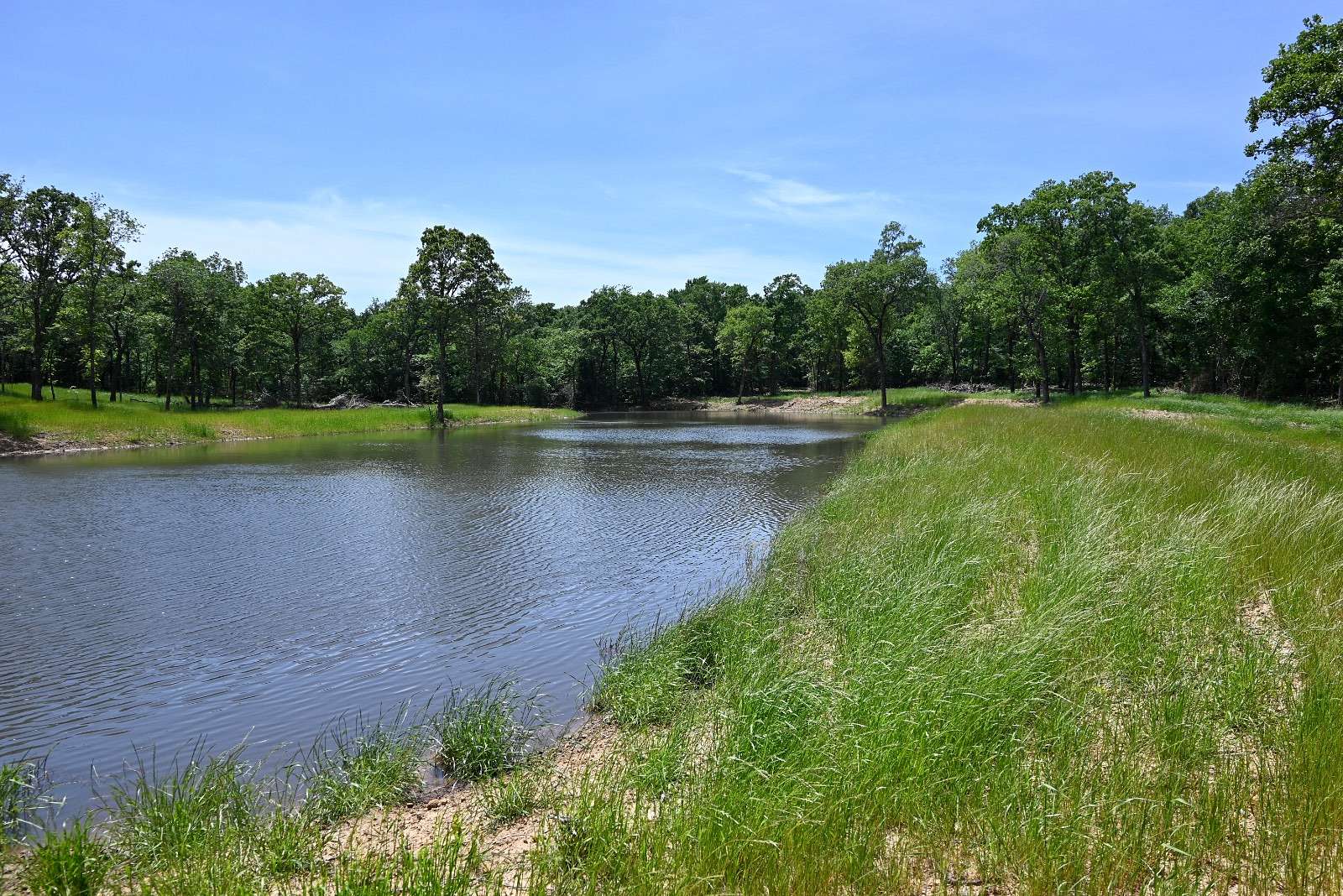 56.5 Acres of Land for Sale in Coalgate, Oklahoma