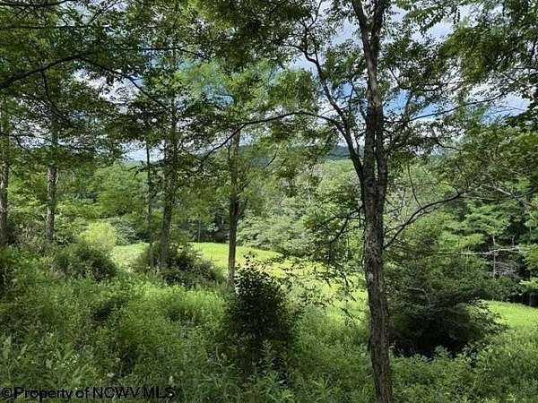3.1 Acres of Residential Land for Sale in Slaty Fork, West Virginia