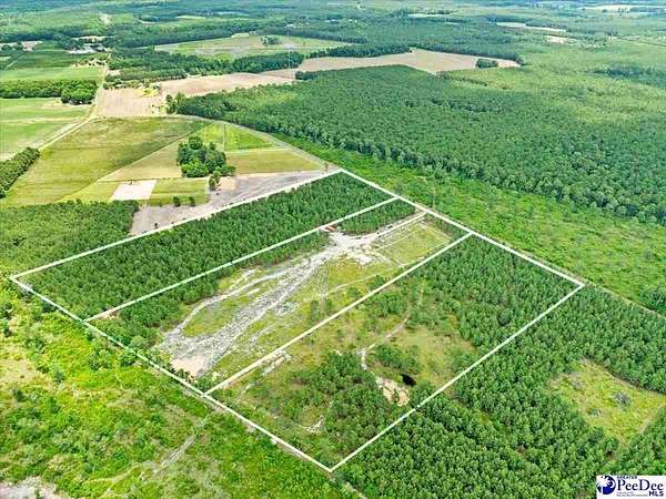 29.4 Acres of Recreational & Residential Land for Sale in Scranton, South Carolina