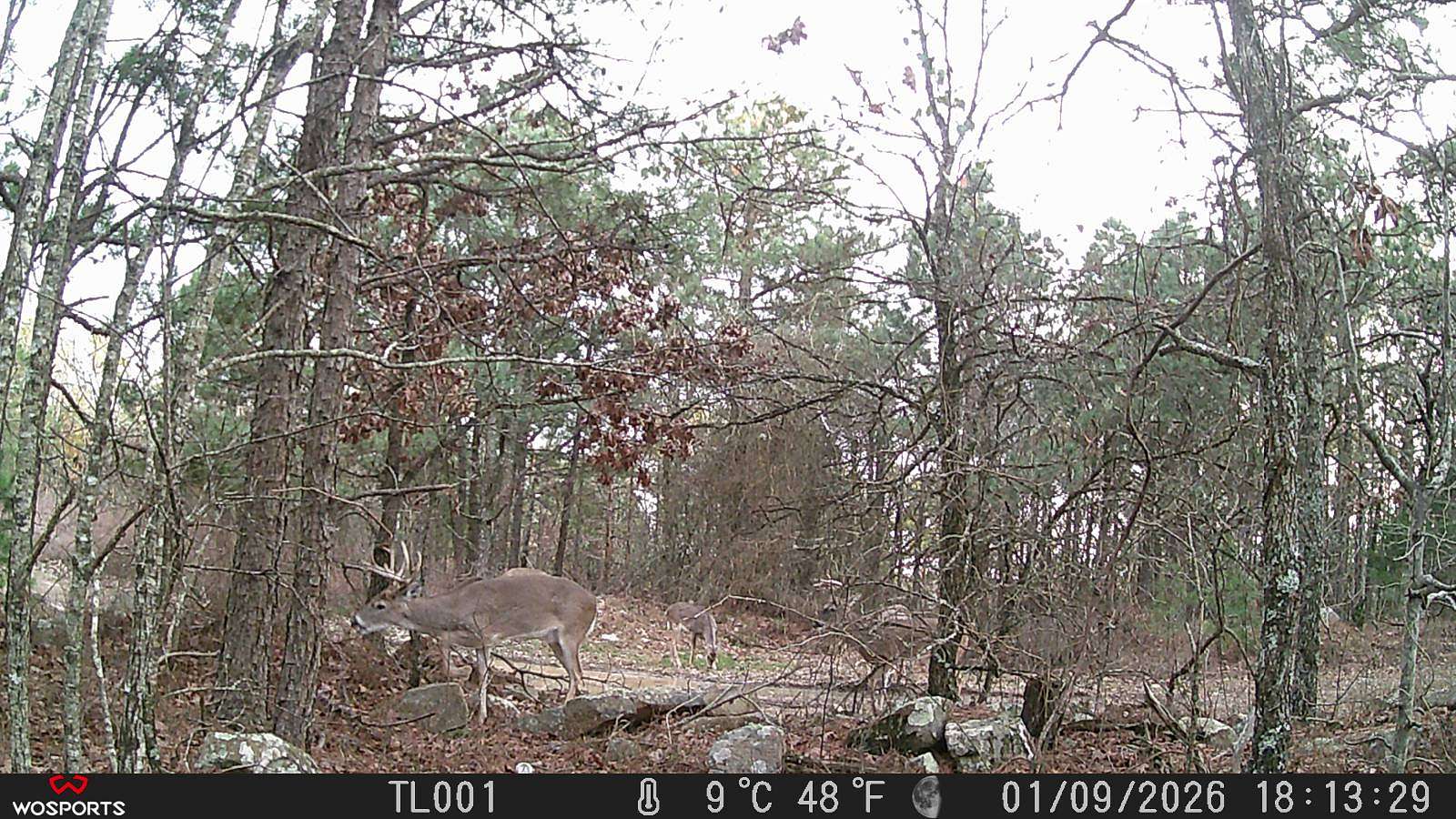 15.9 Acres of Recreational Land for Sale in Albion, Oklahoma
