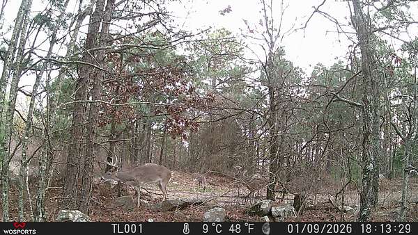 15.9 Acres of Recreational Land for Sale in Albion, Oklahoma
