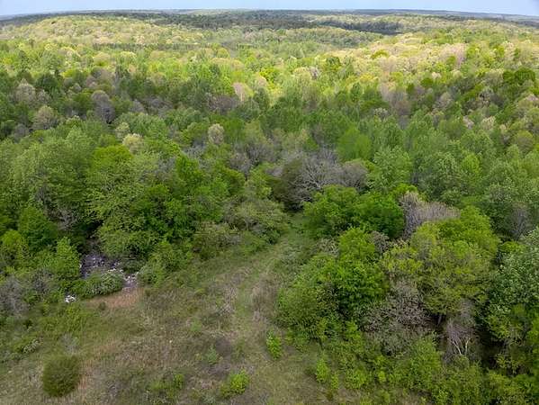33.2 Acres of Recreational Land for Sale in Florence, Alabama